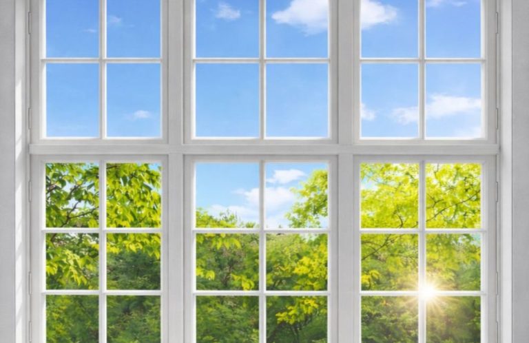 Fensterreinigung – saubere Fenster mit Blick ins Grüne